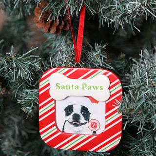 christmas tree picture frames for dogs by red berry apple