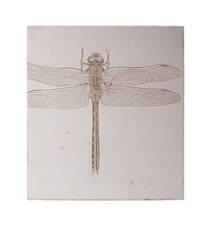dragonfly wall art by redpaperstar