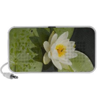 Lily Pads and White Lotus Flower PC Speakers