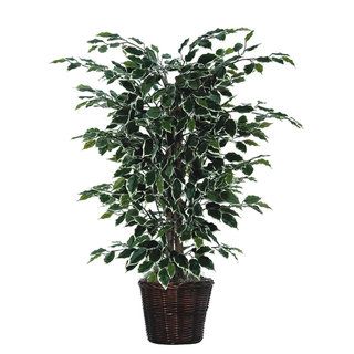 4 foot Variegated Ficus Bush Vickerman Silk Plants