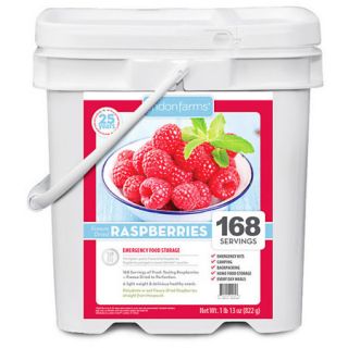 Lindon Farms 168 Servings Freeze Dried Raspberries 773904