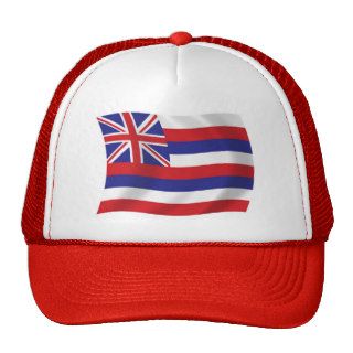 Hawaii Flag Hat