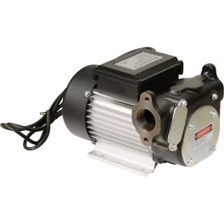 Roughneck Cast Iron Diesel Fuel Transfer Pump — 22 GPM, 120 Volt AC  AC Powered Fuel Pumps