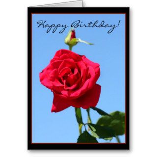 Happy Birthday Red Rose greeting card