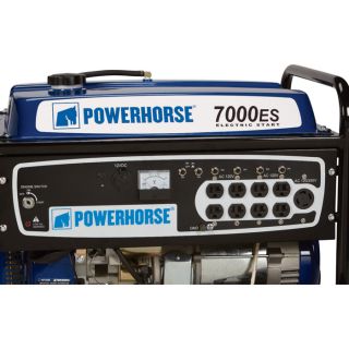 Powerhorse Portable Generator with Electric Start — 7000 Surge Watts, 5500 Rated Watts, Model# DFD7000  Portable Generators
