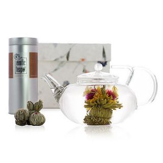 grand flowering tea discovery set by the exotic teapot