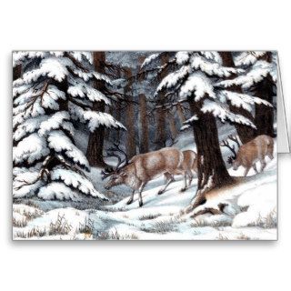 Antique Natural History Print Reindeer in snow Cards