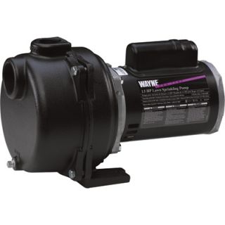 Wayne Cast Iron Lawn Sprinkler Pump — 5560 GPH, 2 HP, 2in., Model# WLS200  Booster   Sprinkler Pumps