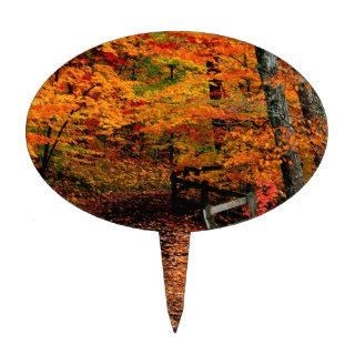 Autumn Mccormick Creek State Park Indiana Cake Toppers