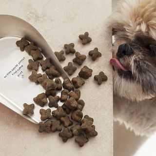 personalised silver plated pet food scoop by the cutlery commission