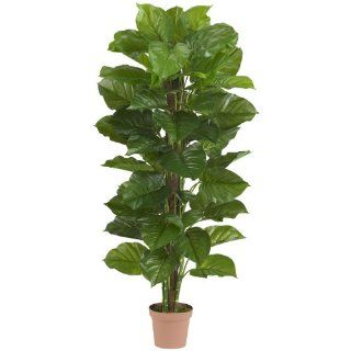 Shop Real Looking 63" Large Leaf Philodendron Silk Plant (Real Touch) Green Colors   Silk Plant at the  Home Dcor Store. Find the latest styles with the lowest prices from AWM