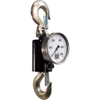 Sherline Products Suspended Hydraulic Scale — 2000-Lb. Capacity  Scales