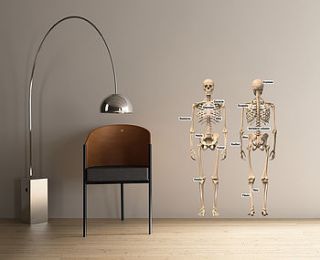 educational human skeleton wall stickers by the binary box