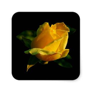 Large Yellow Rose Stickers