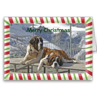 merry Christmas Greeting Cards