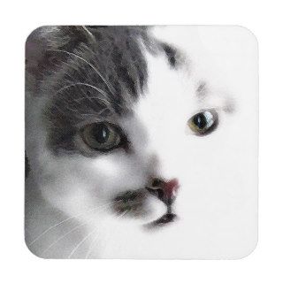 Stylized Cat Face Close up Coaster Set (6)