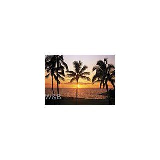 Fototapete Hawaii Sonnenuntergang Strand Hochwertiges Spezial Foto Tapetenpapier (115 g/m Bogenformat ca. 92 x 127 cm) Gesamtformat ca. 368 x 254 cm 8 teilig Baumarkt