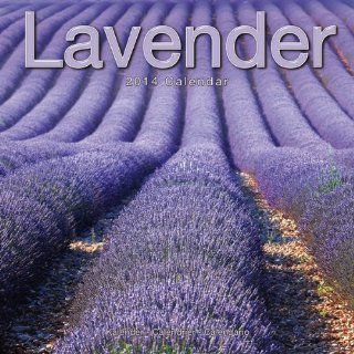 Kalender 2014 Lavendel   Lavendelfelder + kostenlose Weihnachtskarte Bürobedarf & Schreibwaren