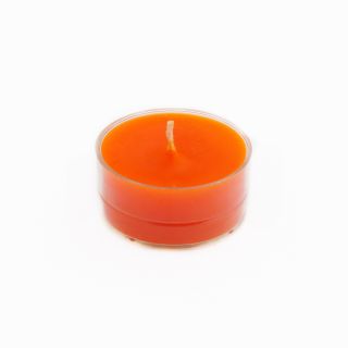 Clear Cup 4 hour Tealight Candles (pack Of 50)