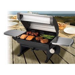 Cuisinart Cgg 200 All Foods Gas Grill