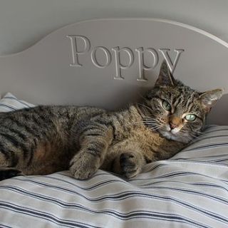 personalised cat bed by chatsworth cabinets