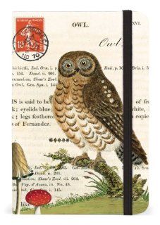 Cavallini 4 by 6 Inch Owl Small Notebook, 256 Pages   Stationery Notepads