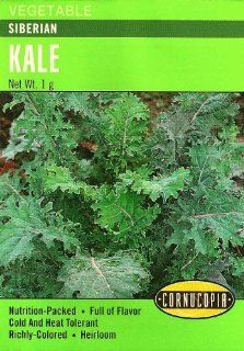 Kale Siberian Seeds  Vegetable Plants  Patio, Lawn & Garden