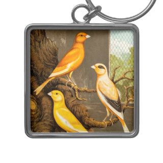 Vintage 1800s Canary Song Bird Template Canaries Keychain