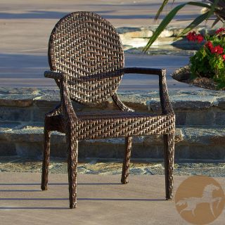 Christopher Knight Home Adriana Brown Pe Wicker And Iron Frame Wide legged Outdoor Chair