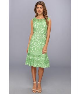 Adrianna Papell Cutaway Sleeve Shift Lace Womens Dress (Green)