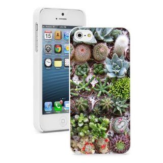 Apple iPhone 5 5S White 5W691 Hard Back Case Cover Color Different Cactus Plants Succulents Cell Phones & Accessories