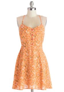 A Capella Open Mic Dress  Mod Retro Vintage Dresses