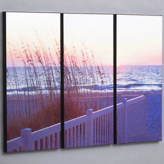 Wilson Studios Three Piece Gulf Sunset with Sea Wheat Laminated Framed