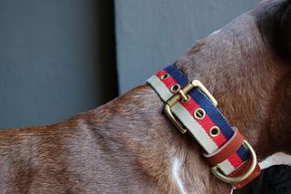 striped dog collar by bone and rag
