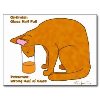 Optimist Pessimist Cat Postcard
