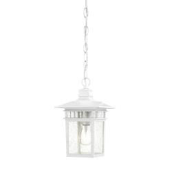Nuvo 'Cove Neck' 1 light White 12 inch Hanging Fixture Nuvo Lighting Other Outdoor Lighting