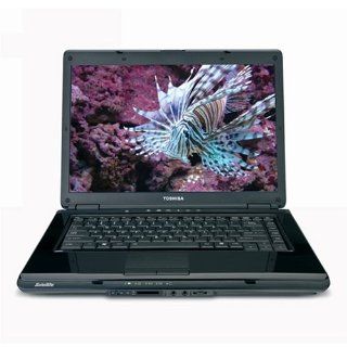 Toshiba Satellite L305D S5873 15.4 inch Laptop (2.0 GHz AMD Turion X2 RM 70 Processor, 2 GB RAM, 160 GB Hard Drive, DVD Drive, Vista Premium) Blue  Notebook Computers  Computers & Accessories