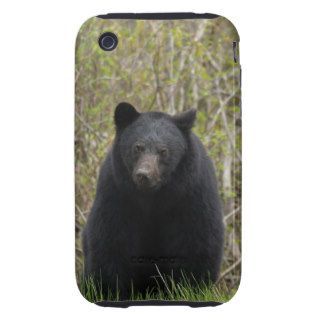 Wilderness Black Bear Wildlife Theme Tough iPhone 3 Cover