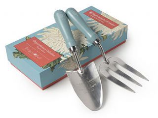 rhs chrysanthemum trowel and fork by ellen mary gardening