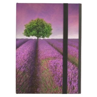 Lavender Field Landscape Summer Sunset iPad Air Cases