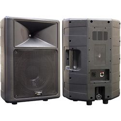 PylePro 500 watt 12 inch 2 way Speaker Cabinet PylePro Live Sound Speakers