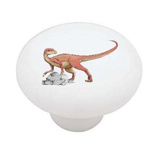 Abrictosaurus Dinosaur Decorative High Gloss Ceramic Drawer Knob   Cabinet And Furniture Knobs  