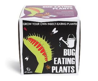 sow and grow bug eating plant by beecycle