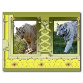 white tiger st patricks 0070 postcards