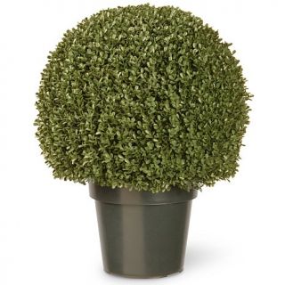 Artificial 22" Mini Boxwood Ball Tree in Green Growers Pot