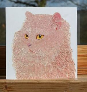 cat collection 'fluff' greeting card by bird