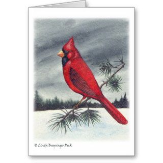 Cardinal Bird Christmas Greeting Card