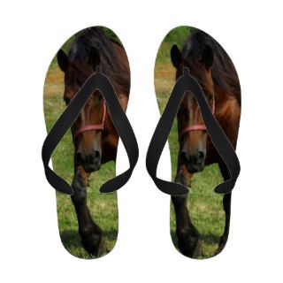 Draft Horse Flip Flops