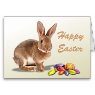 Bunny and Easter eggs Card