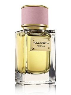 Dolce & Gabbana Velvet Love Perfume for women 1.6 oz Eau De Parfum  Beauty